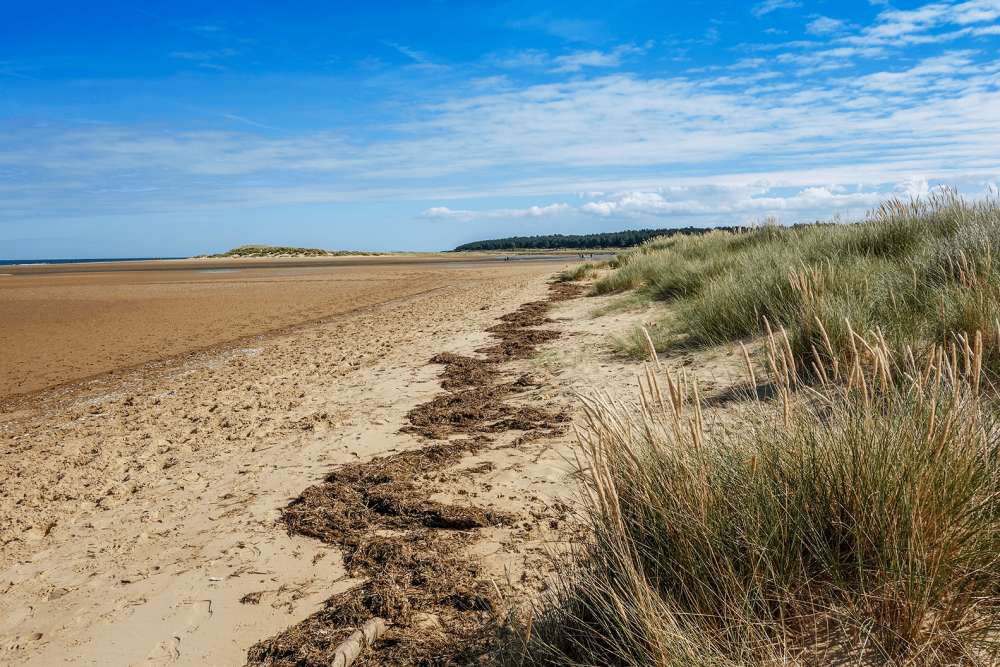 Golden sandy beach next to some grass shrubbery on the right of the image.